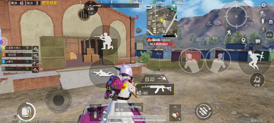 iOS和平精英【ZFR