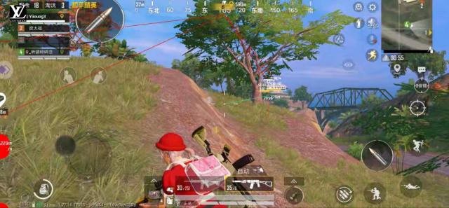 和平精英【逍遥】辅助