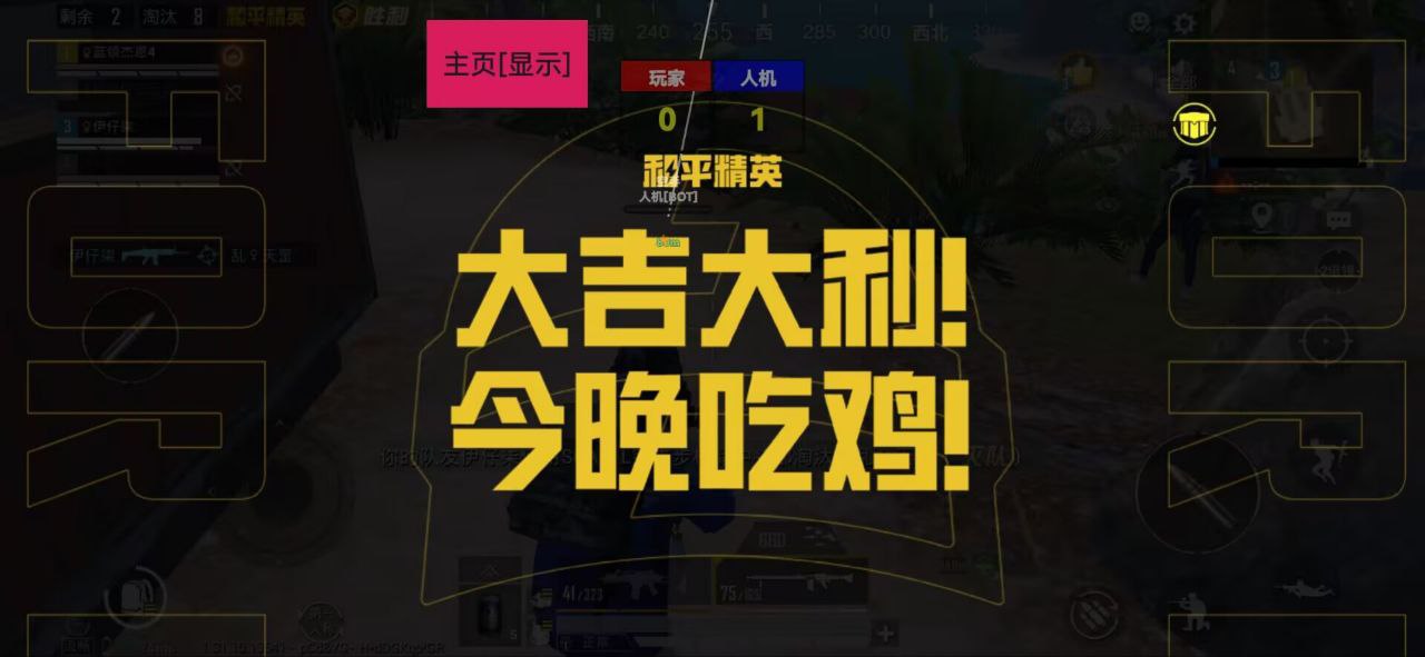 和平精英内核【787】辅助透视自瞄